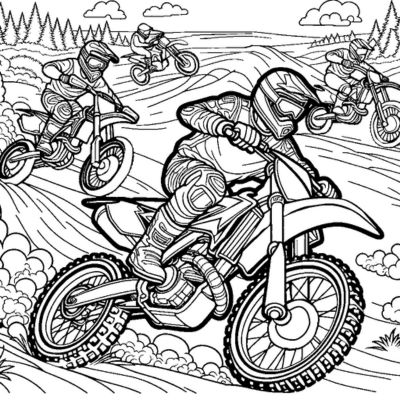 Carrera de motocross